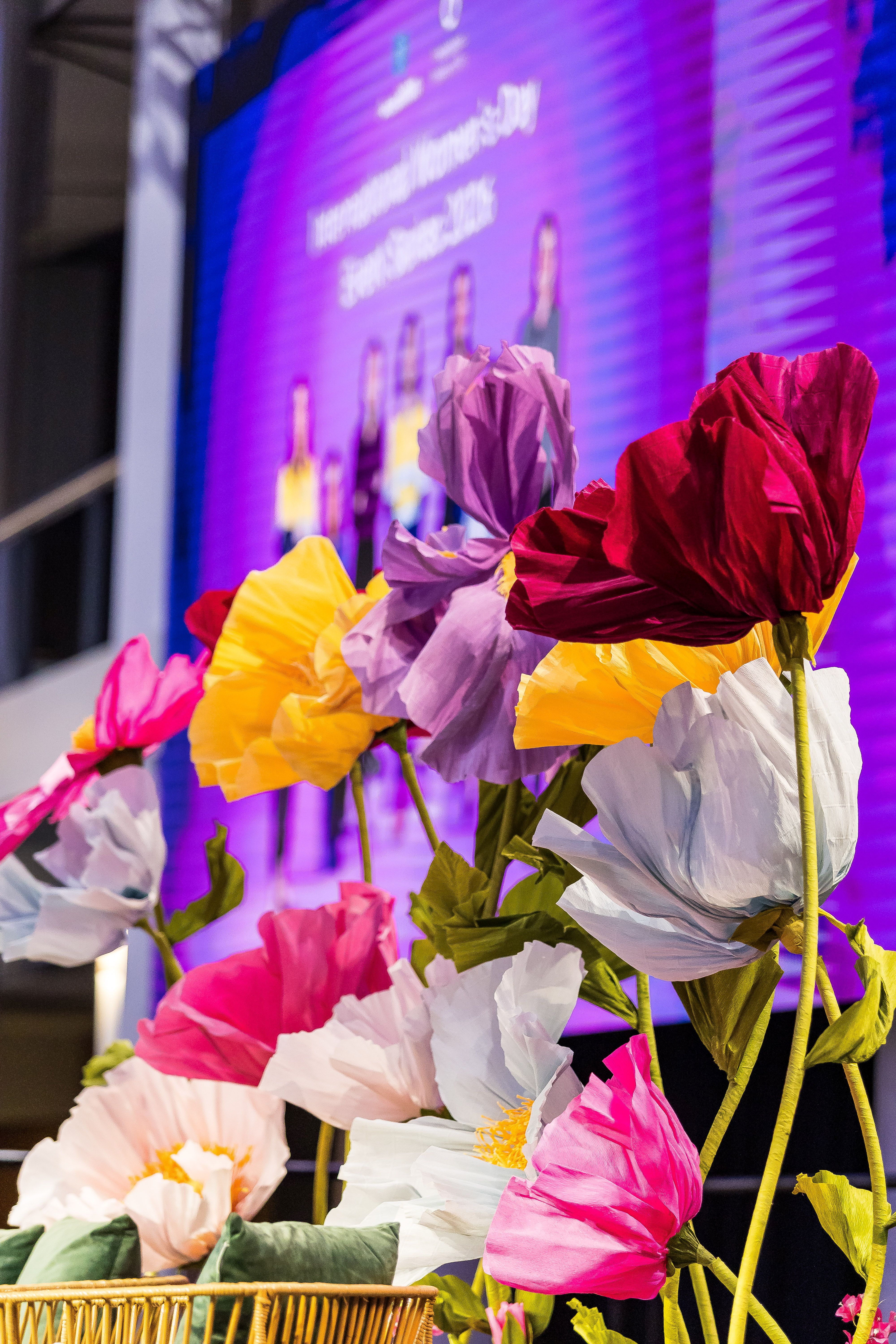 Dubai installation 16